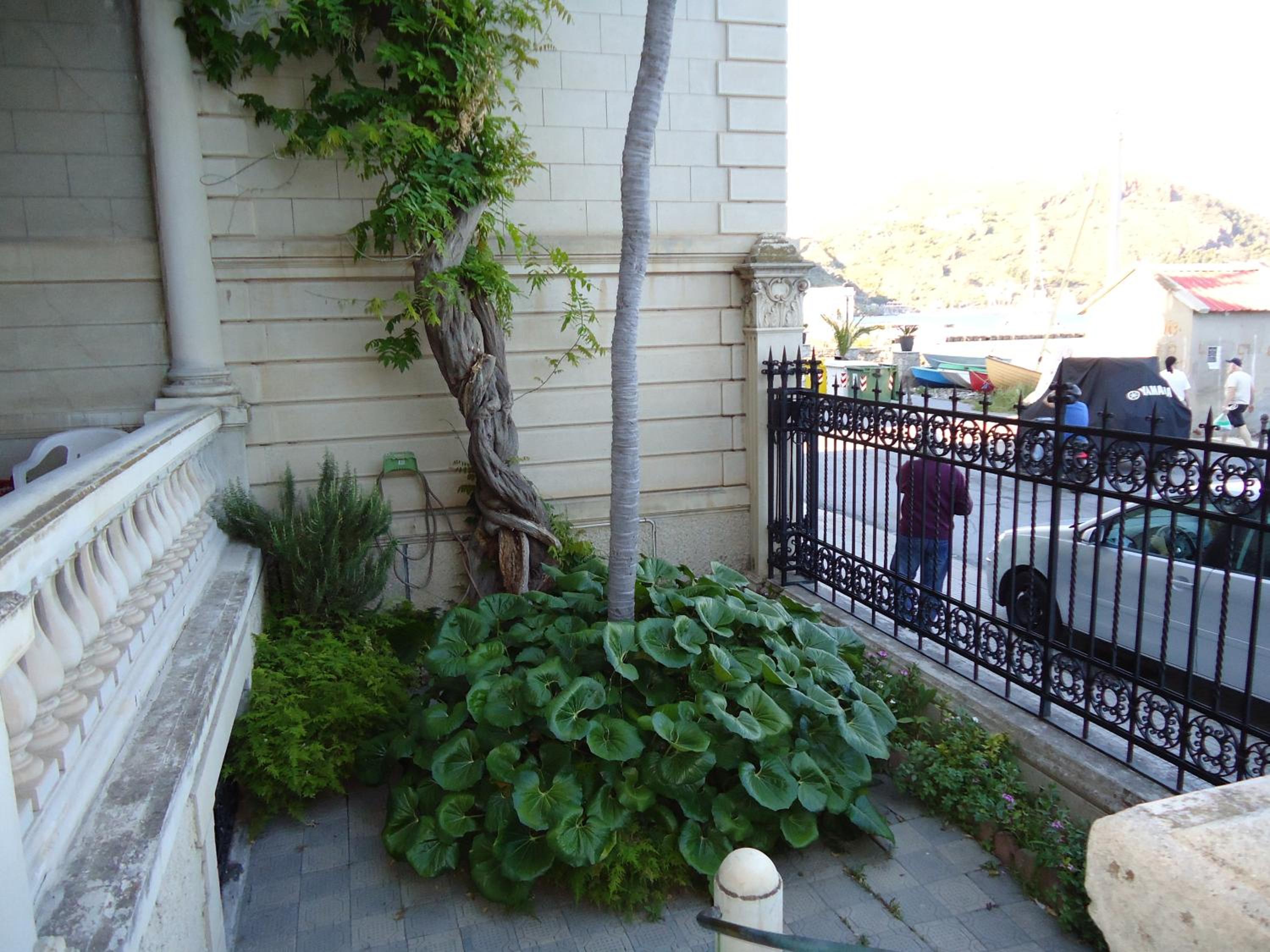 Photo 30