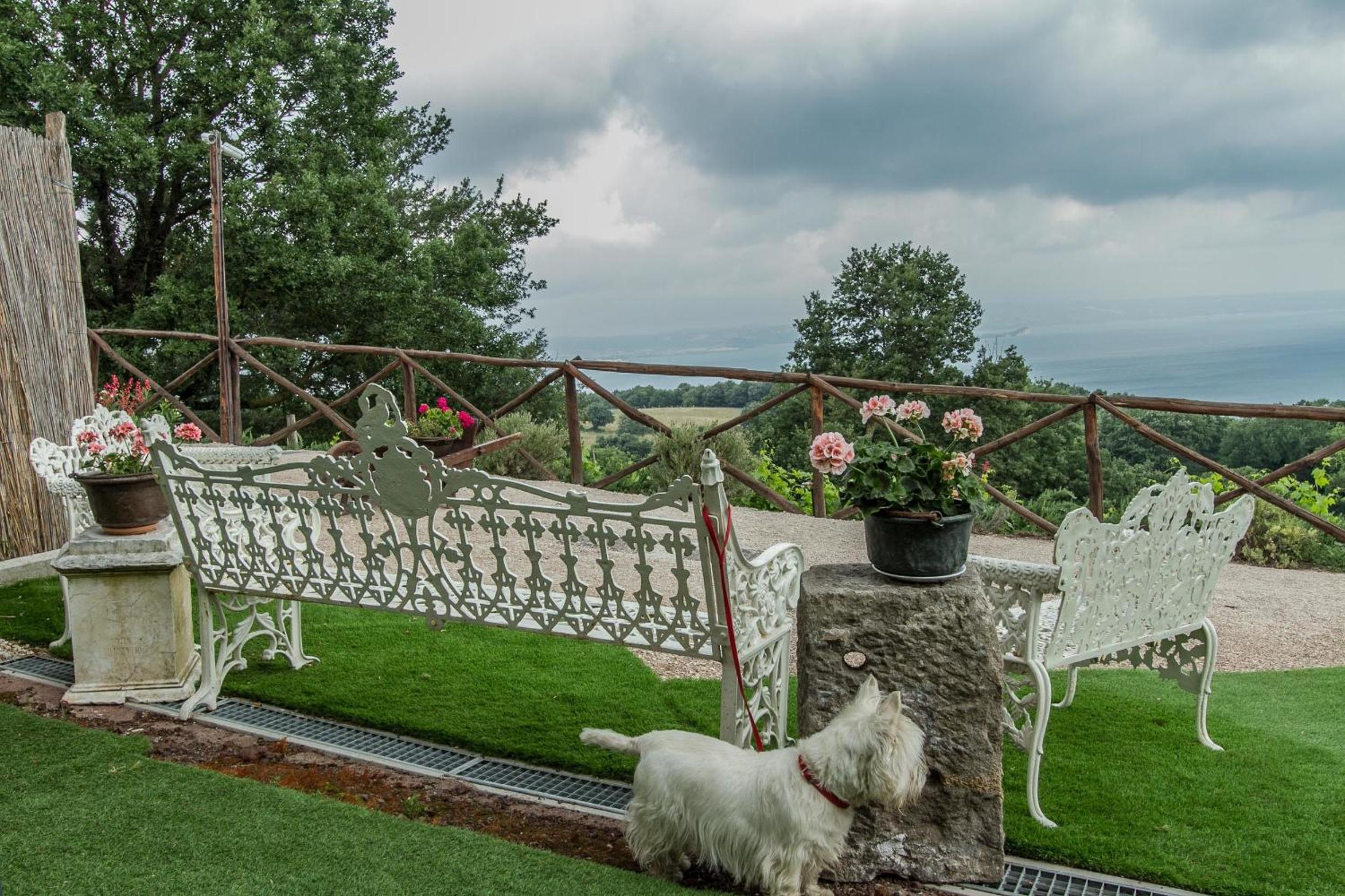 Agriturismo Specchio Del Lago