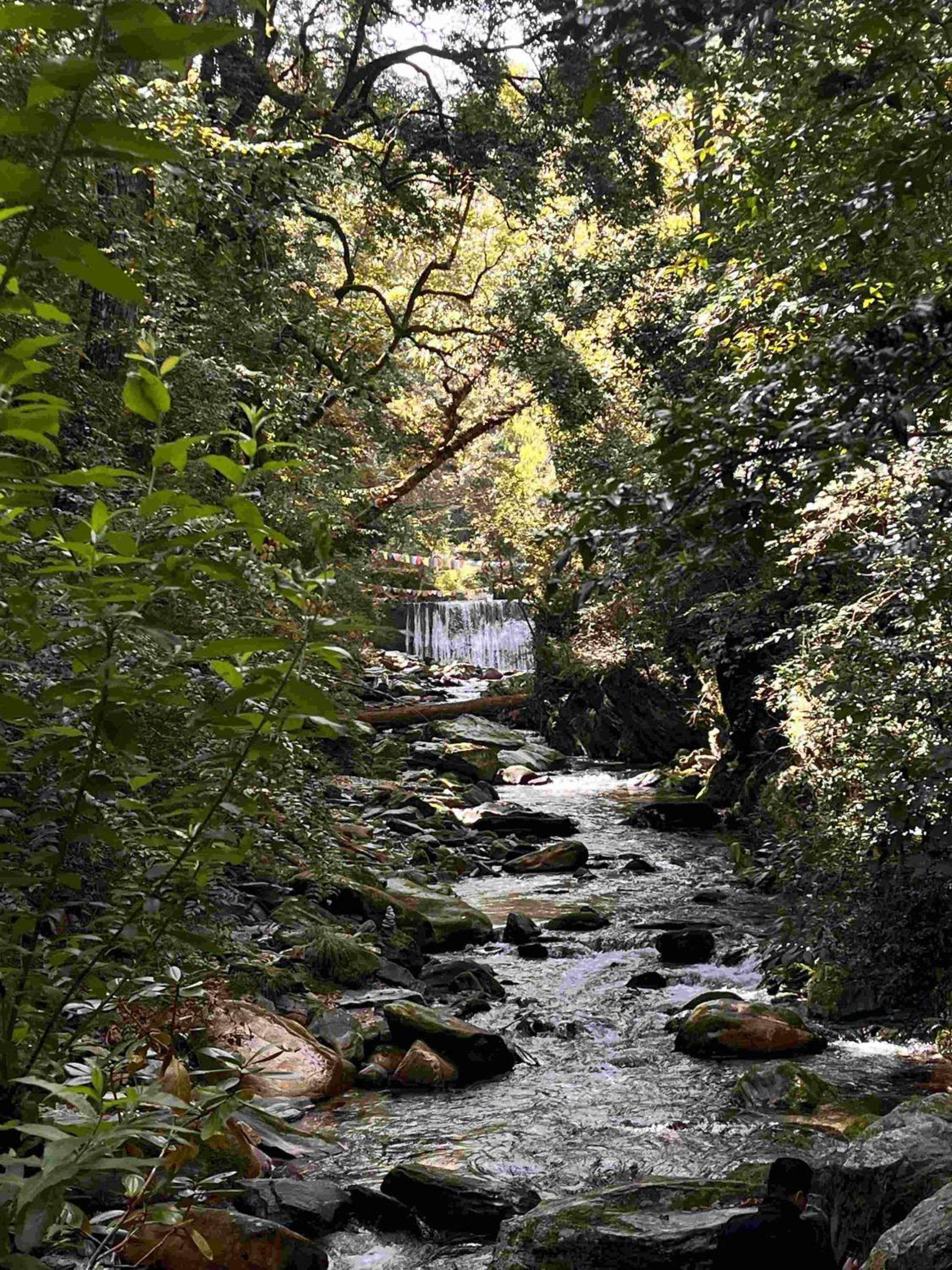 Oakley Groves Encamp