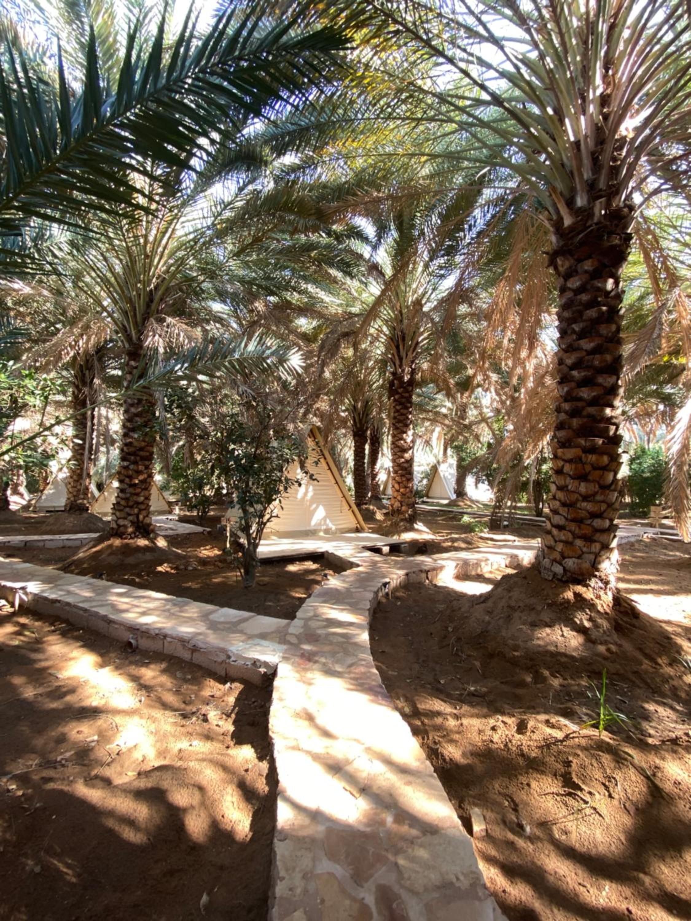 Husaak AlUla Adventure Camp