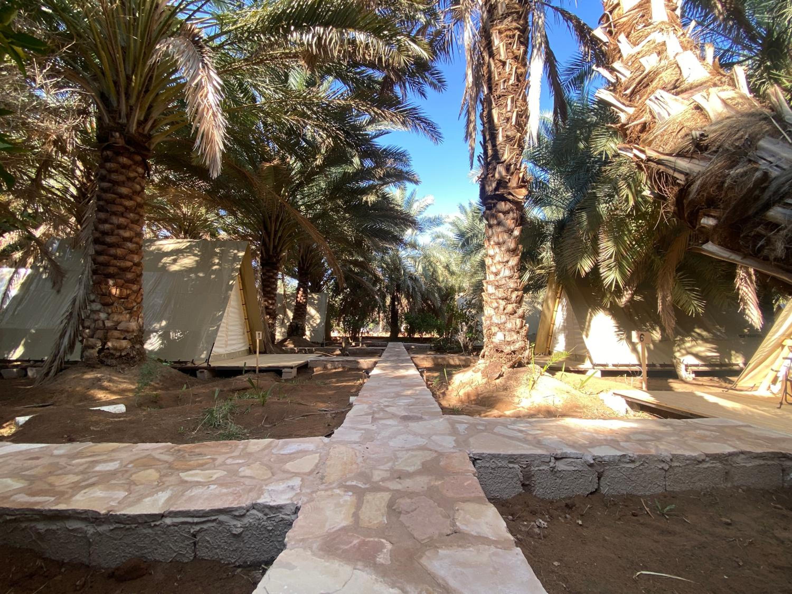 Husaak AlUla Adventure Camp