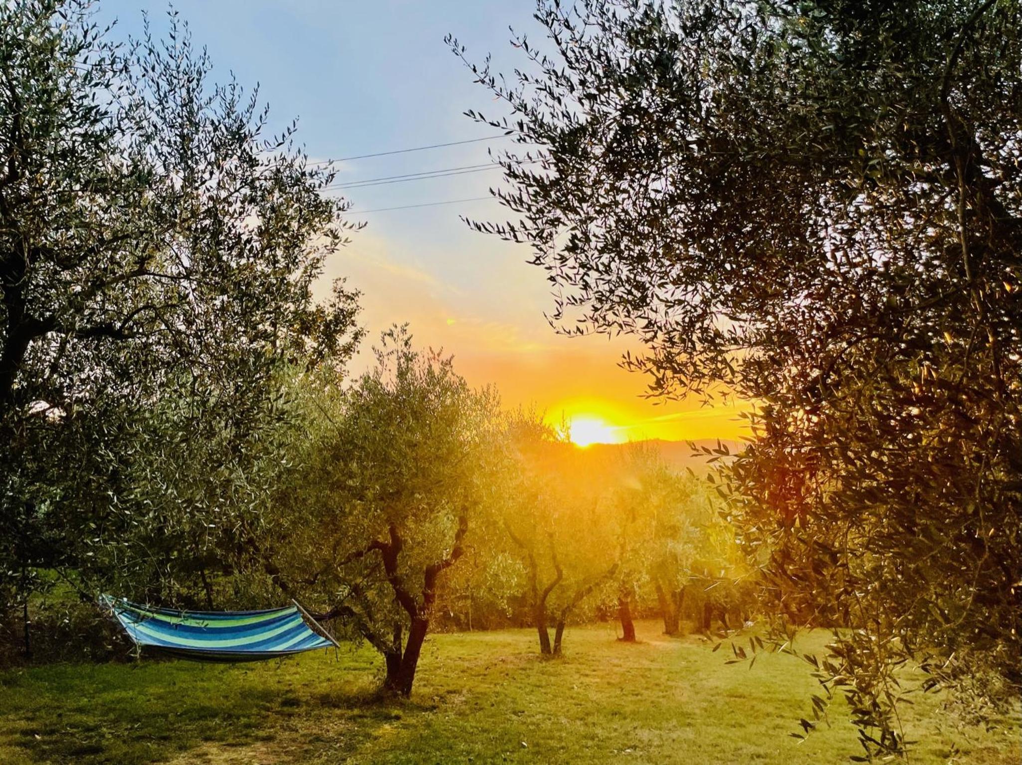Agriturismo CasaViVa