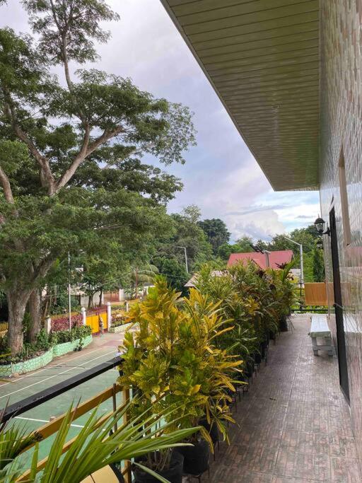Spacious Studio Apartment 3 with Pool view 5