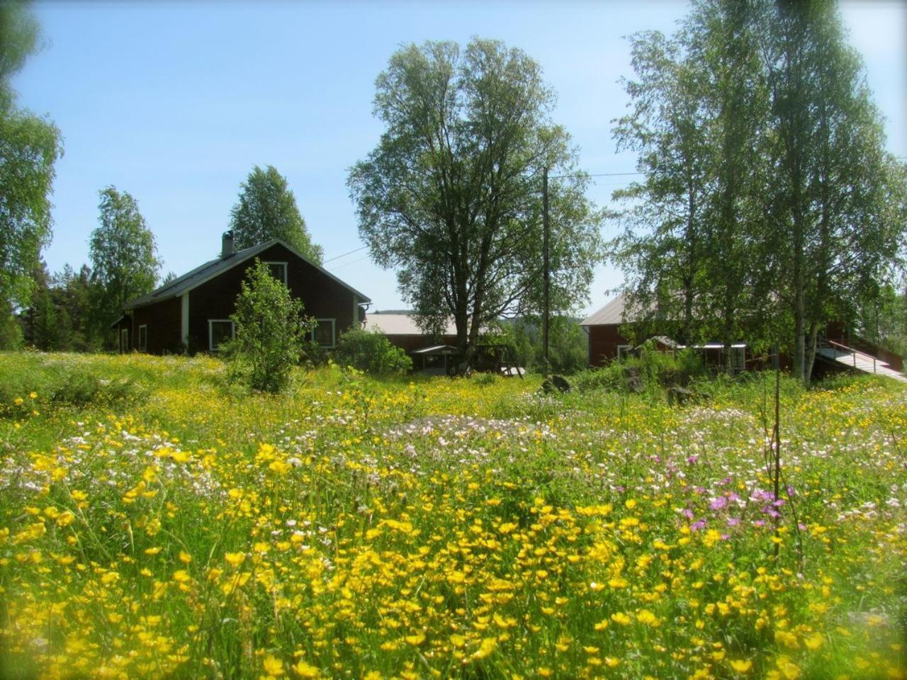 Ellis Gården
