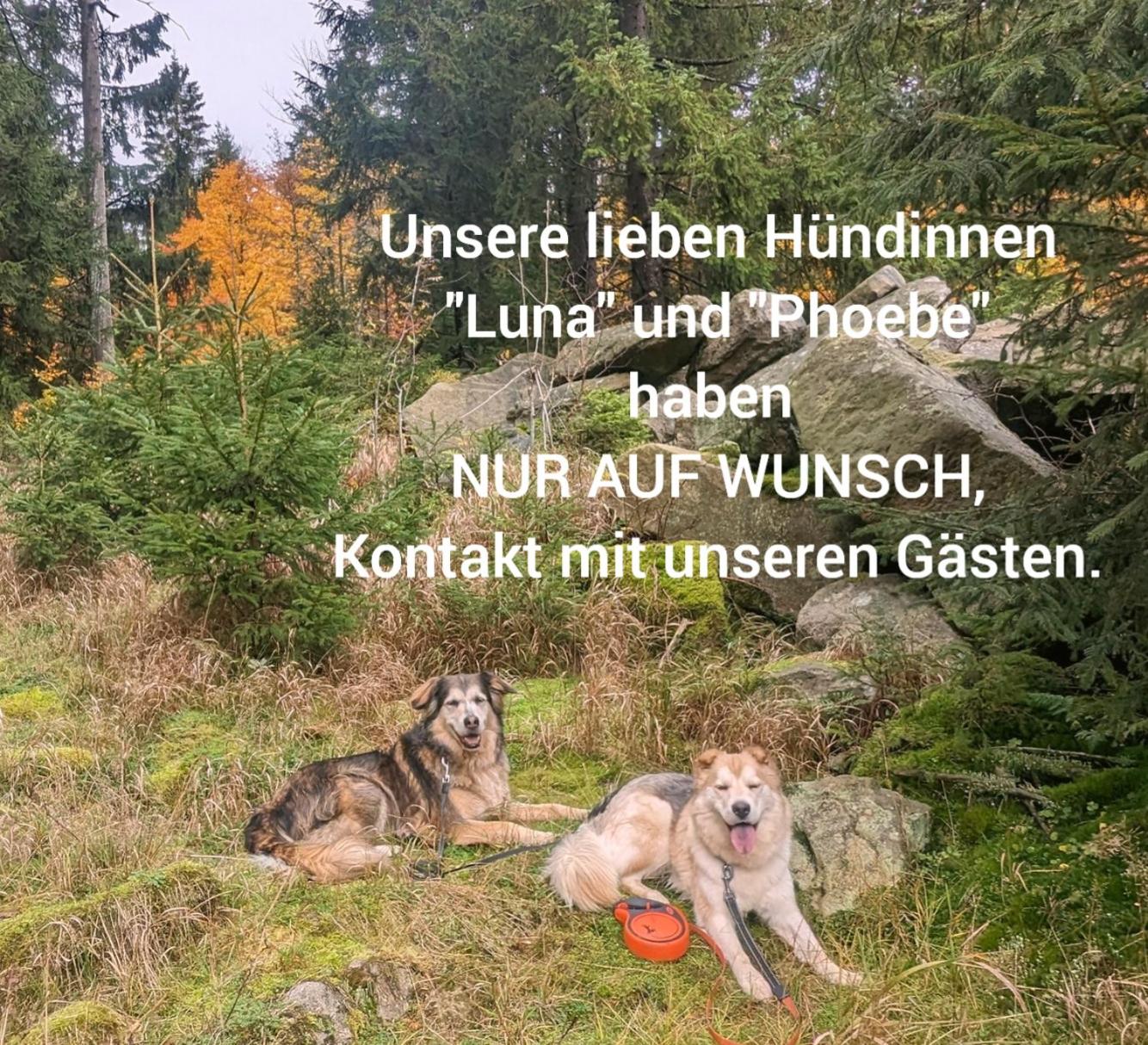 Appartement mit Teeküche, Bad