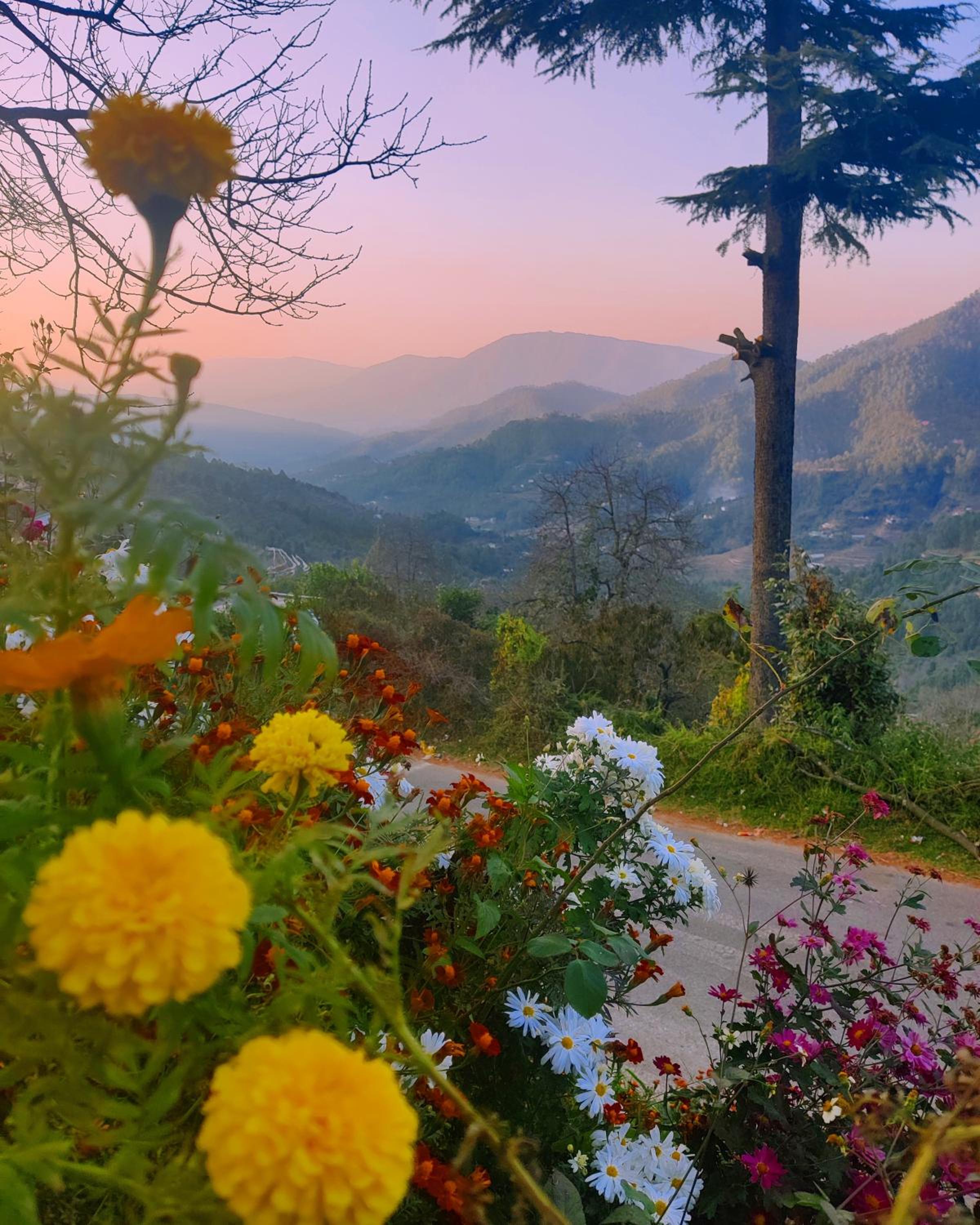 5D Retreat By Aish&Jo view 4