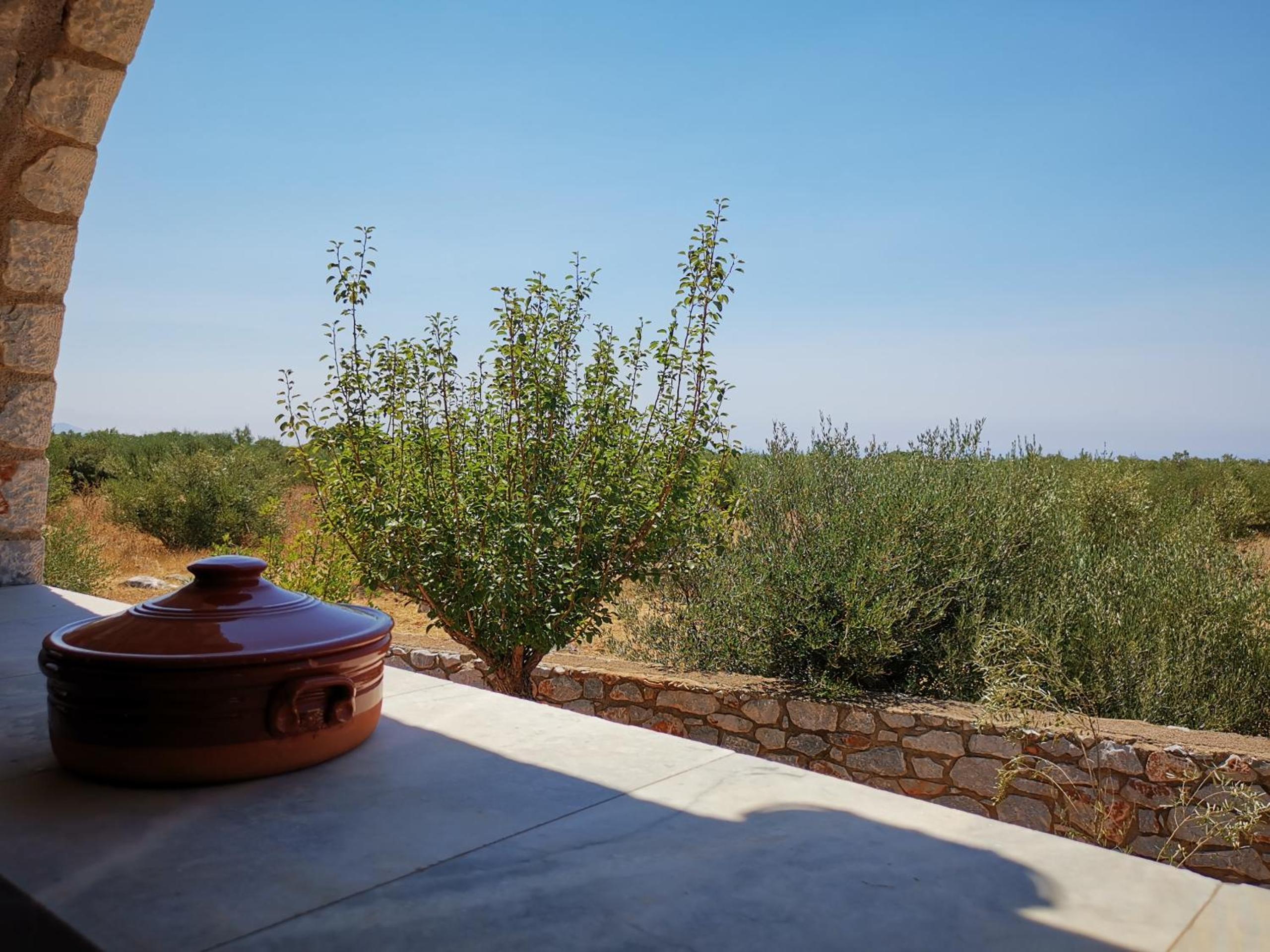 Anaroussa Villa