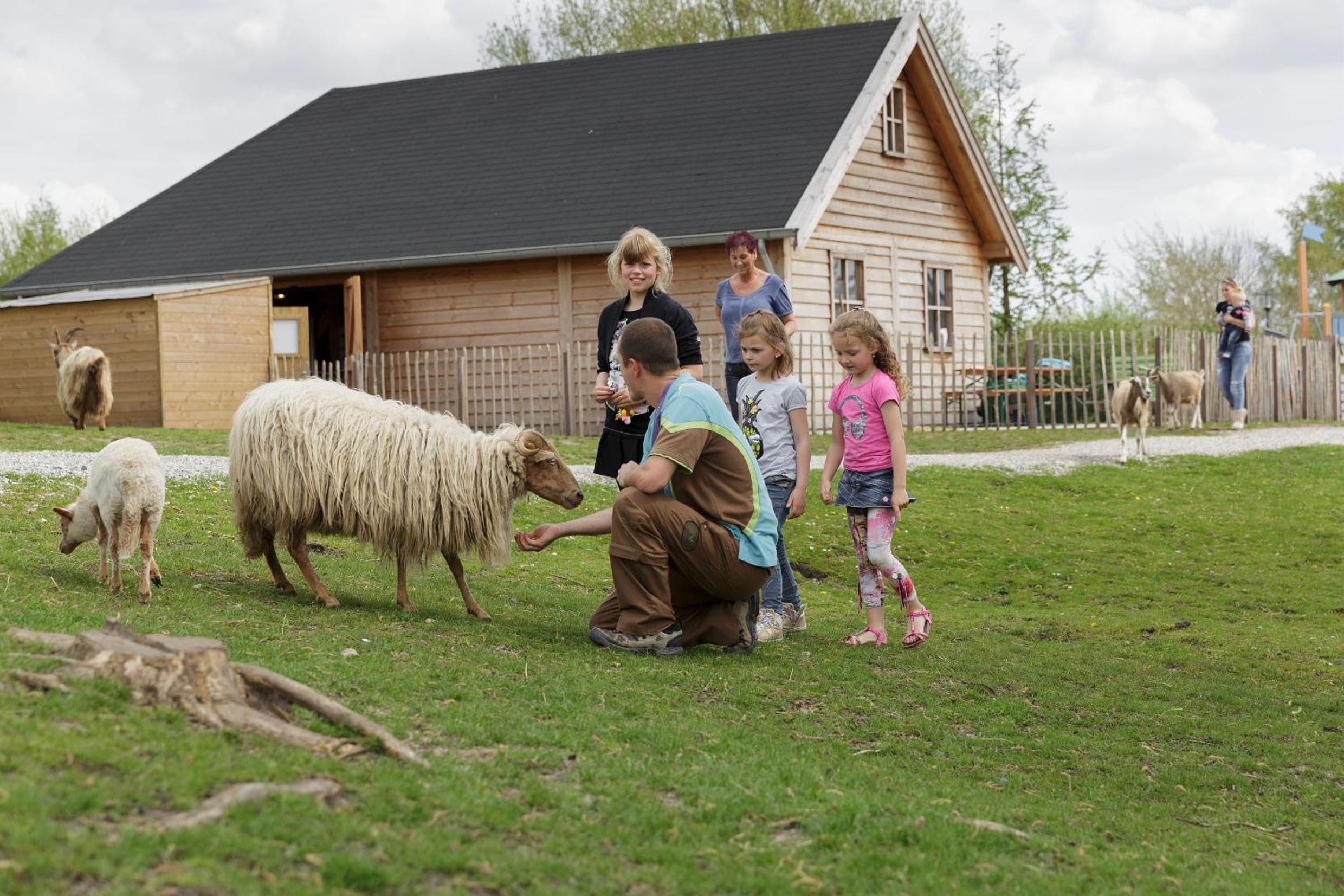 Center Parcs Sandur Emmen