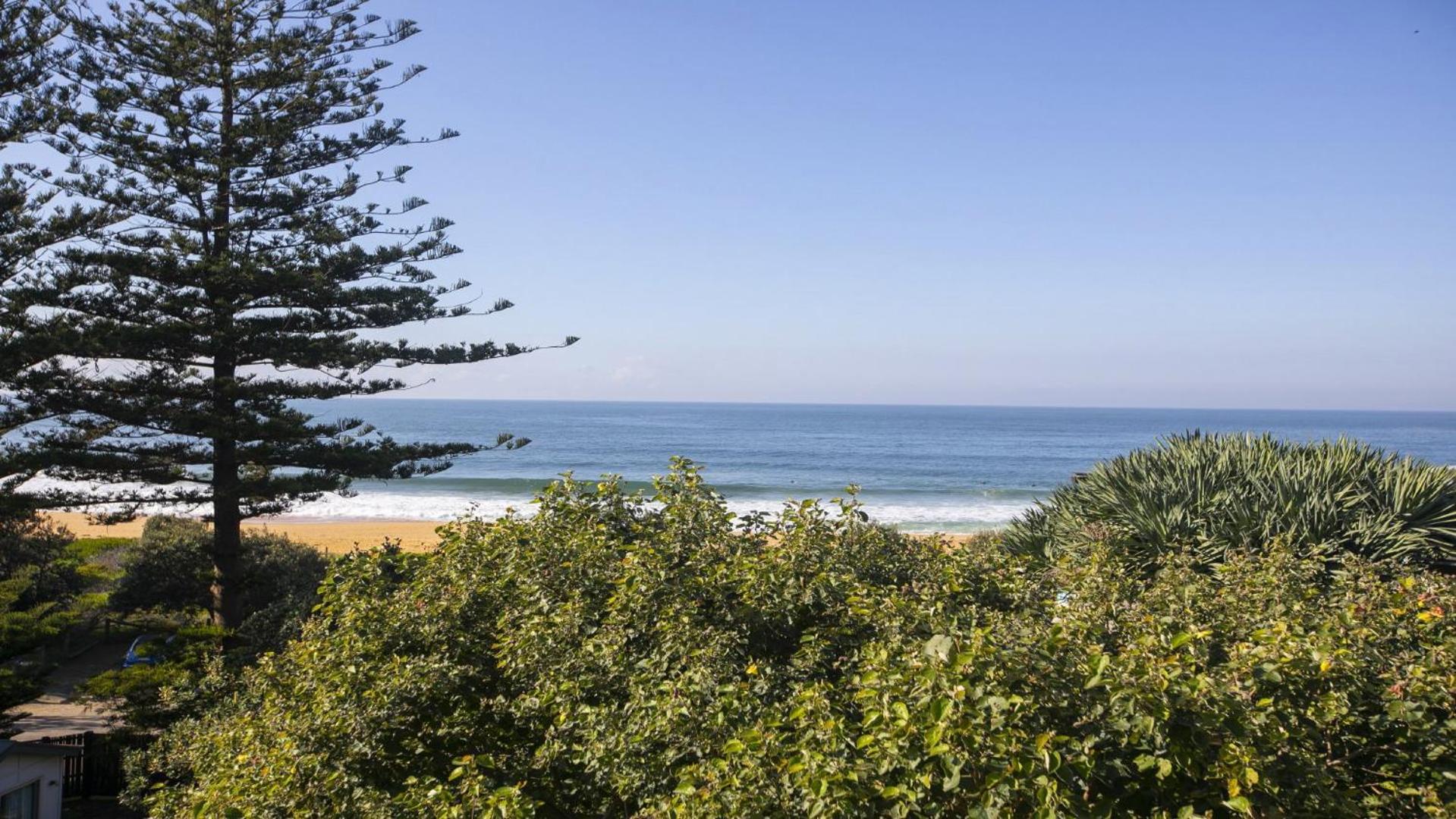 The Pines on Killcare Beach
