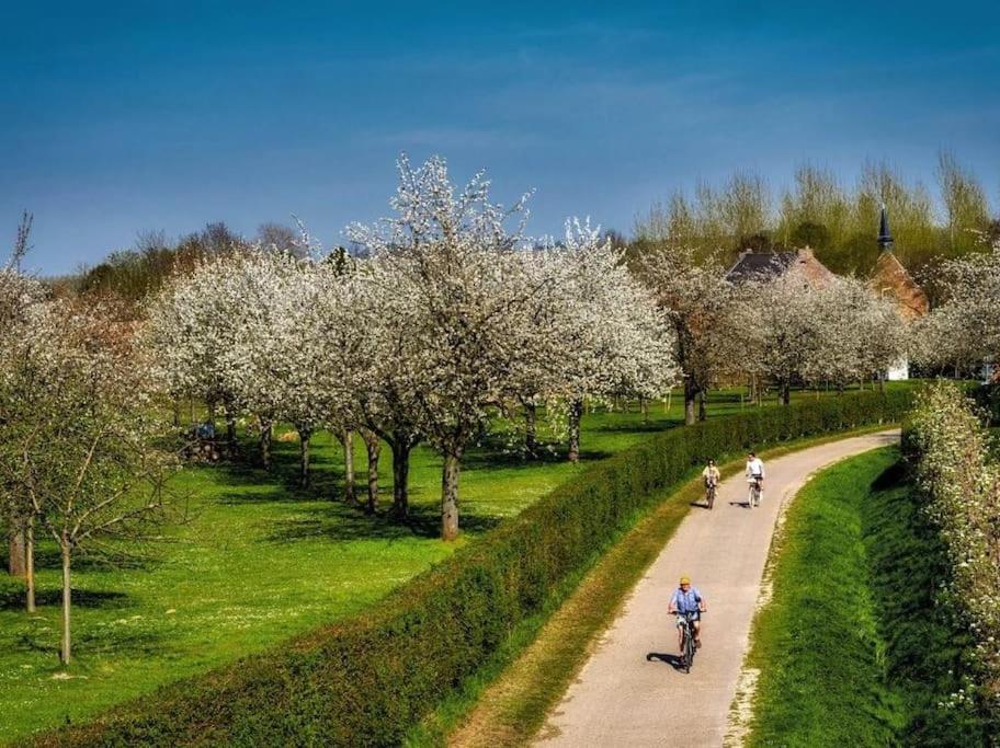 Vakantiewoning Hoogveld