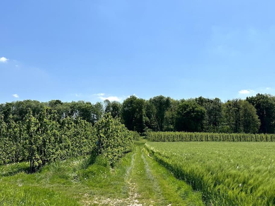Vakantiewoning Hoogveld