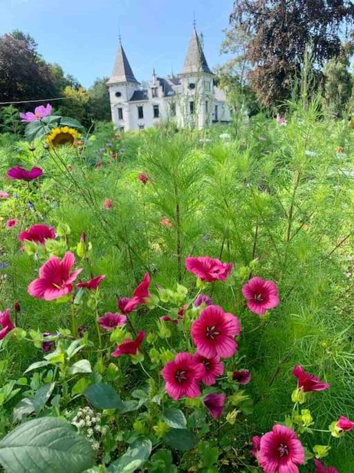 Vakantiewoning Hoogveld