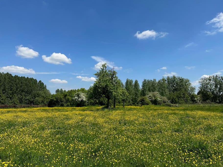 Vakantiewoning Hoogveld