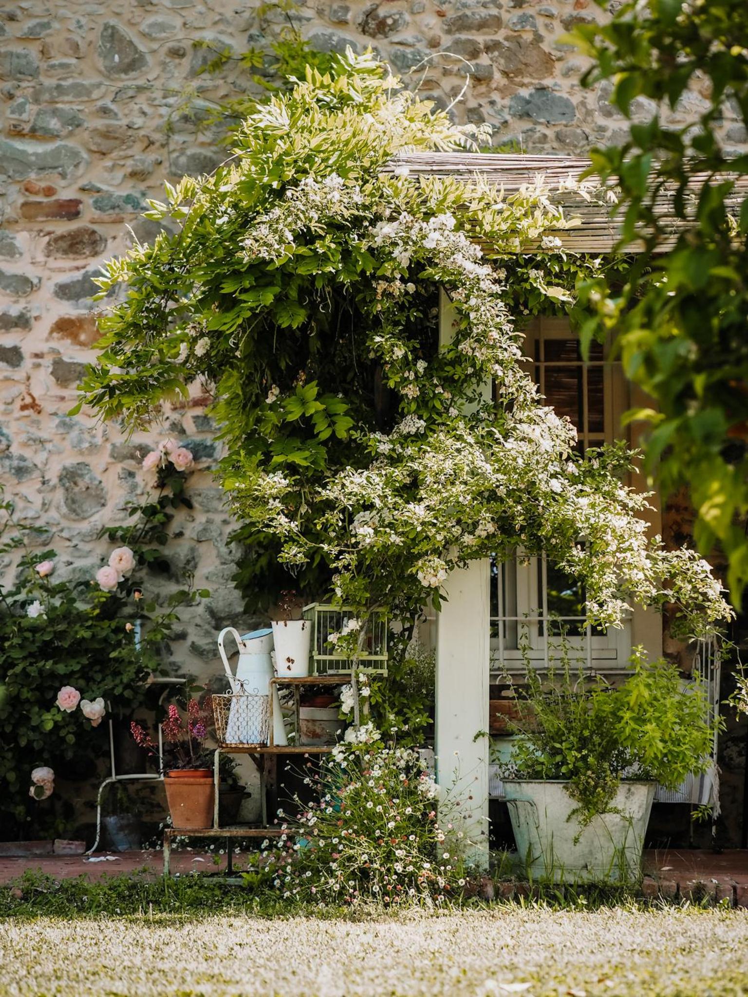 Le Molina B&B