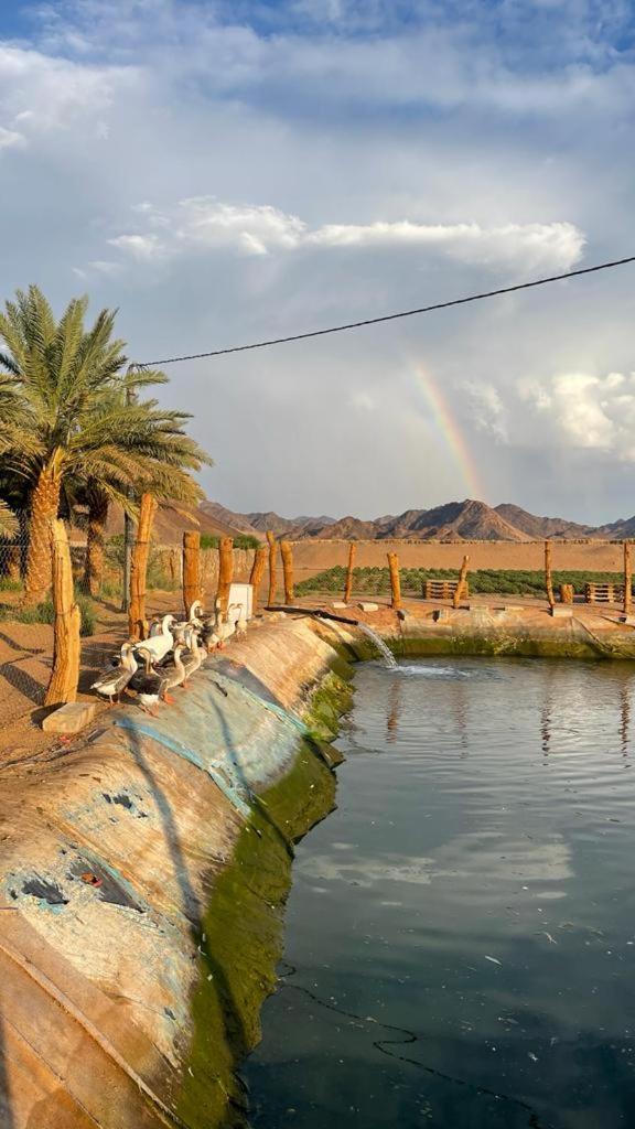 استراحة البستان الريفي view 5