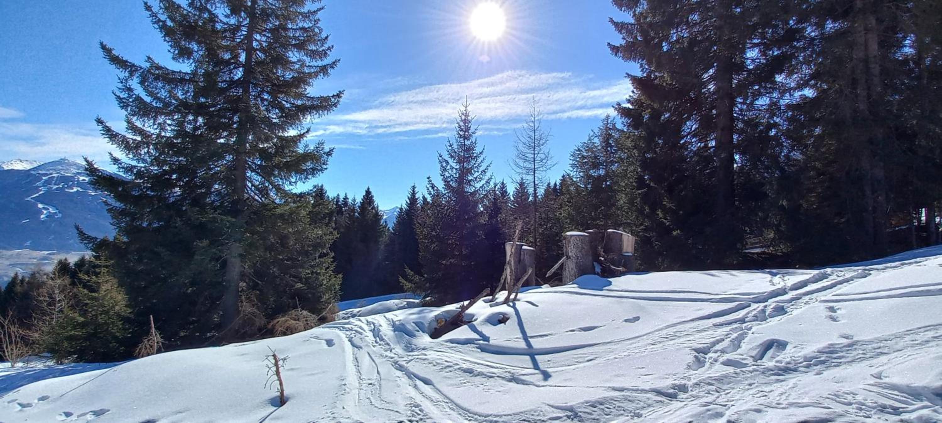 Ferienwohnung Götzner Auszeit
