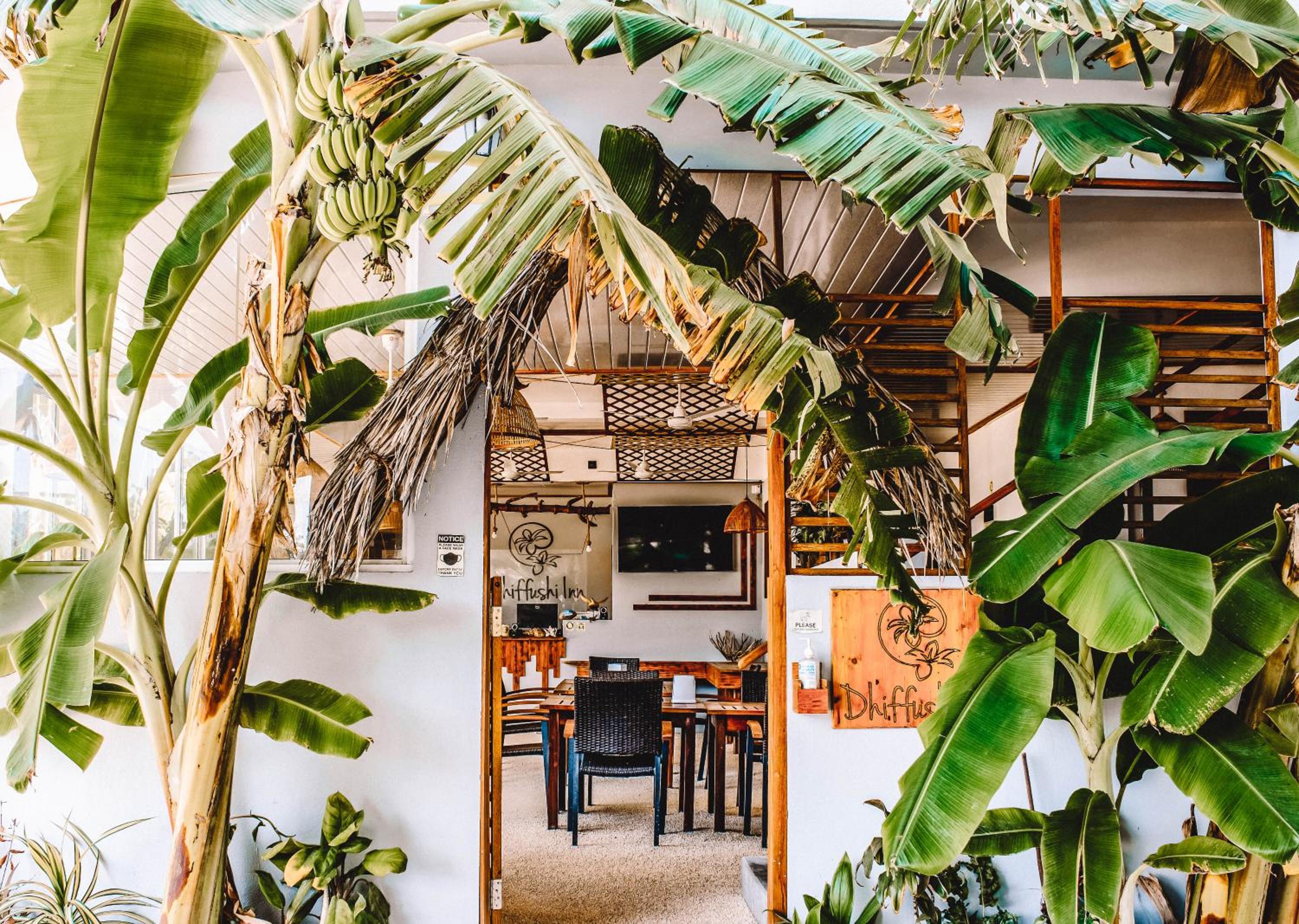 Maldives 14