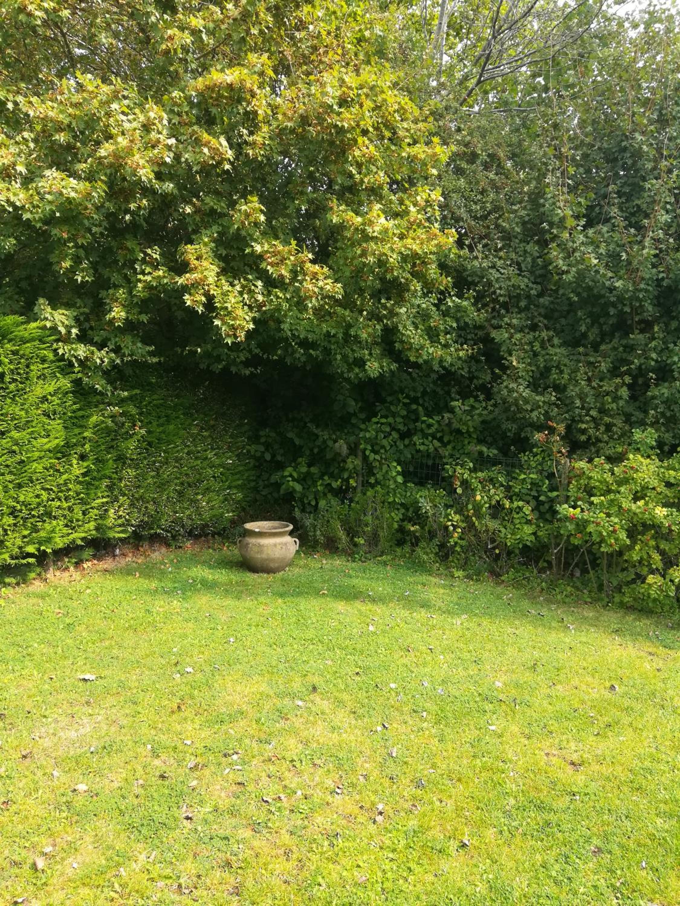 Photo 39