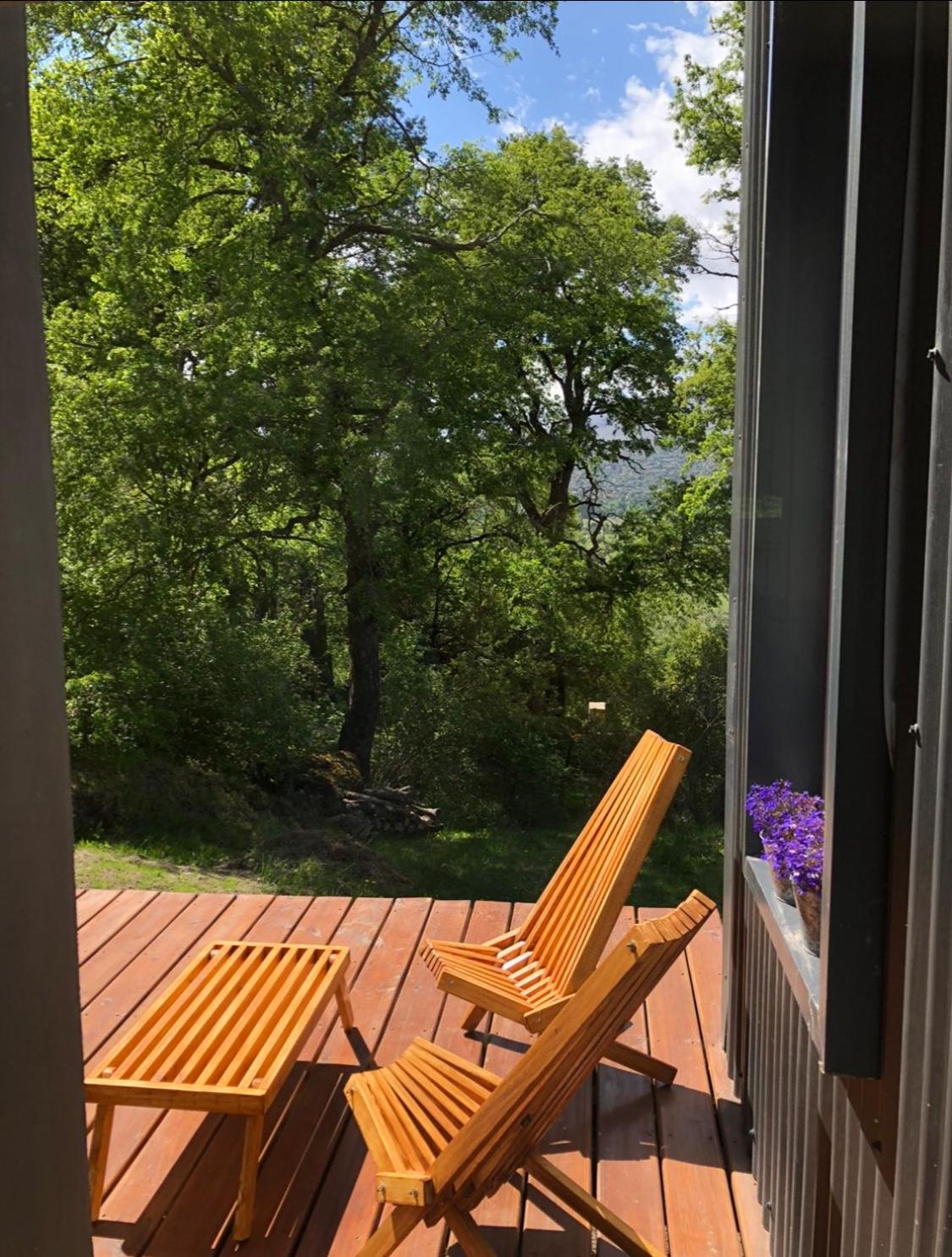 Moderna casa en el bosque