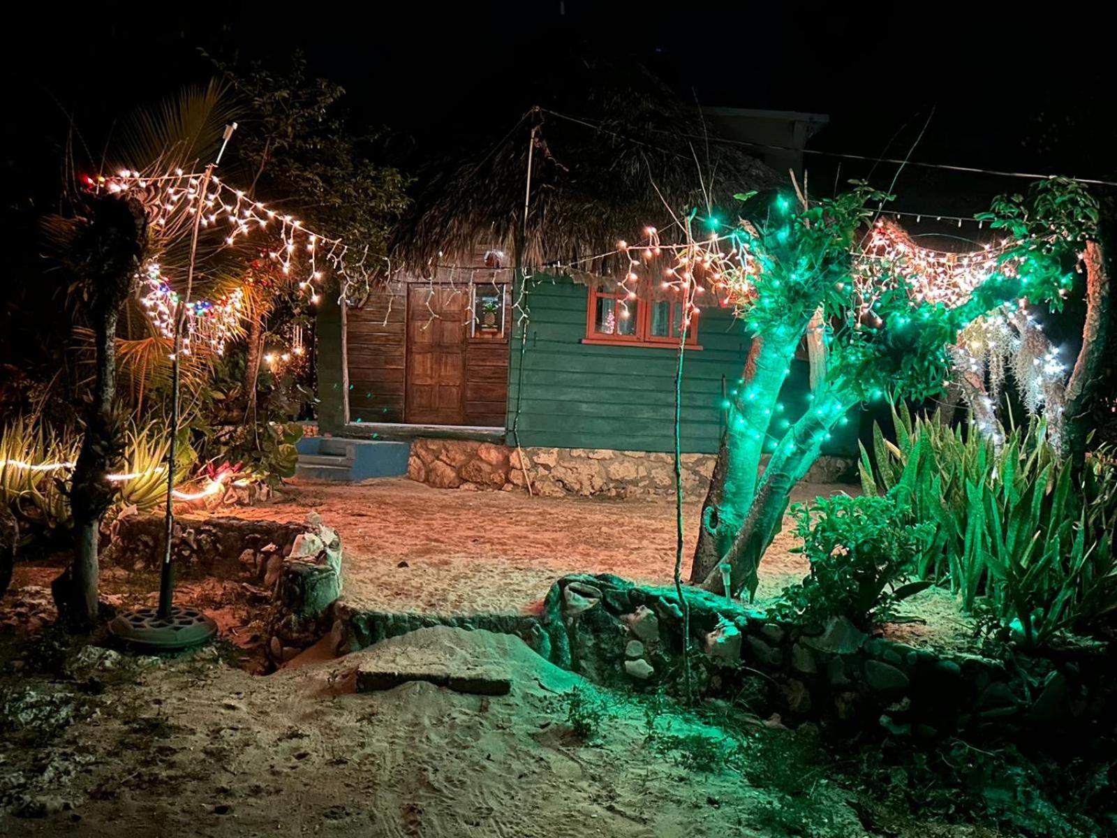 Little Bay Bungalow
