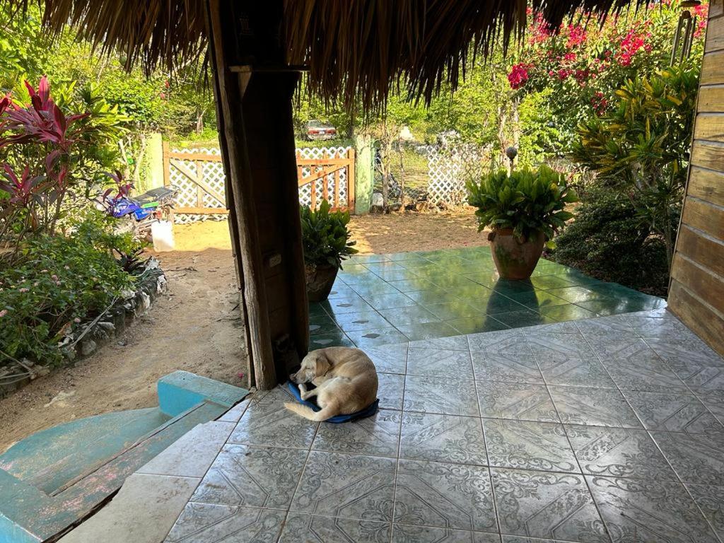 Little Bay Bungalow