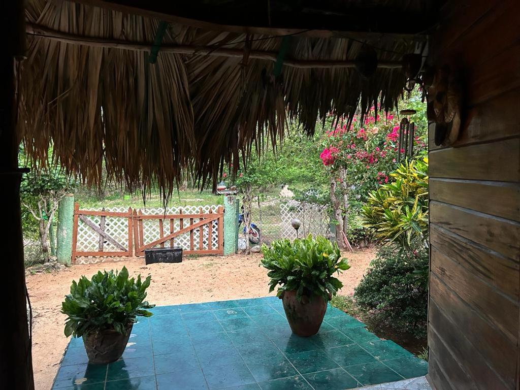Little Bay Bungalow
