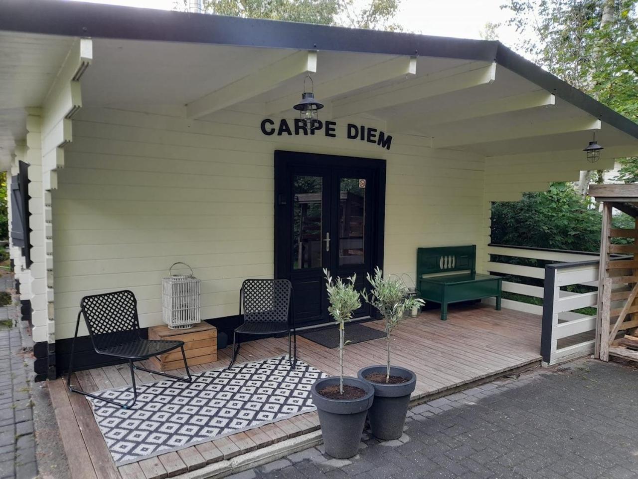 Carpe Diem, het ruime chalet met houtkachel nabij Wildlands Emmen