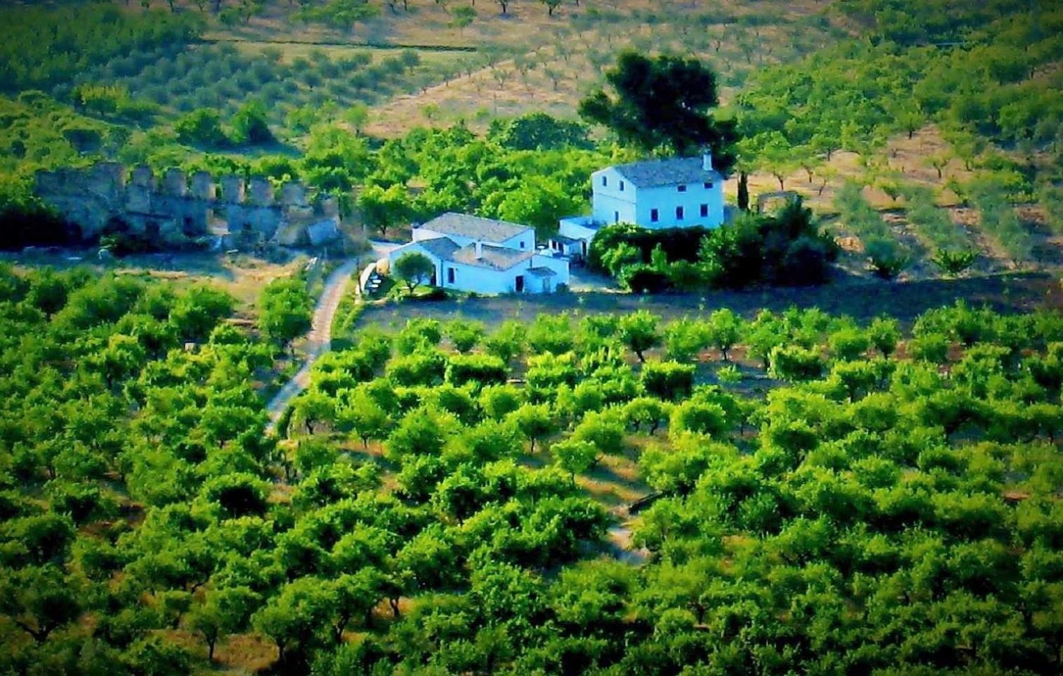 El Pino B & B, Chera