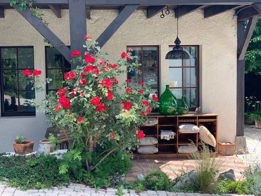 'Le Petit Clos Suites'- Charming Getaway on Leman Lake