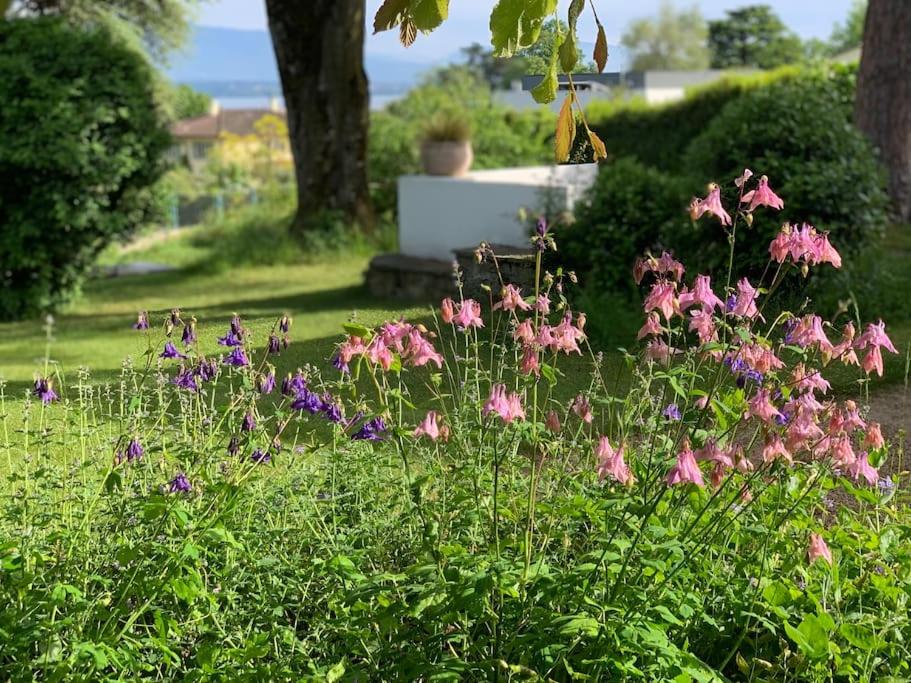 'Le Petit Clos Suites'- Charming Getaway on Leman Lake