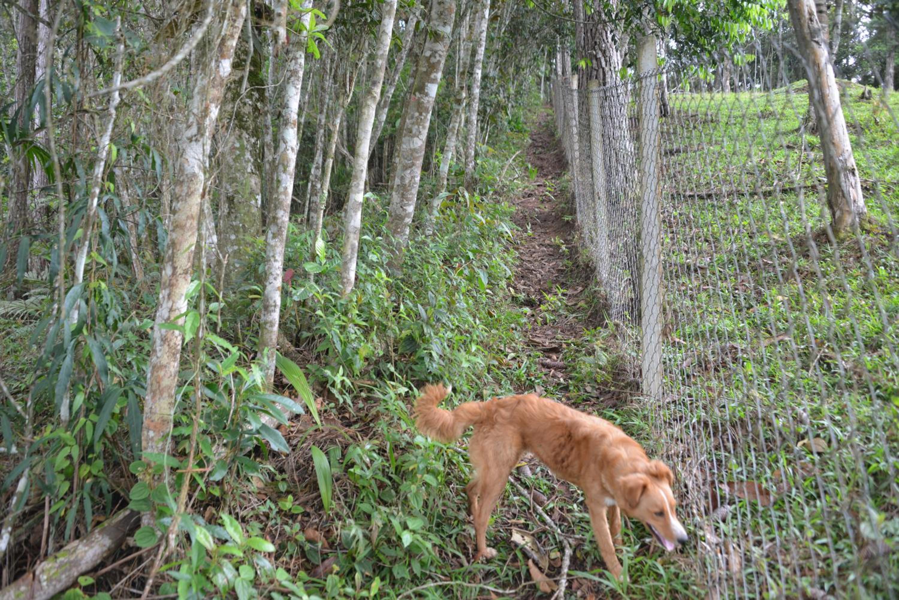 Rancho Potala