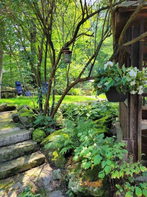 Anthropocene Jewel Cottage