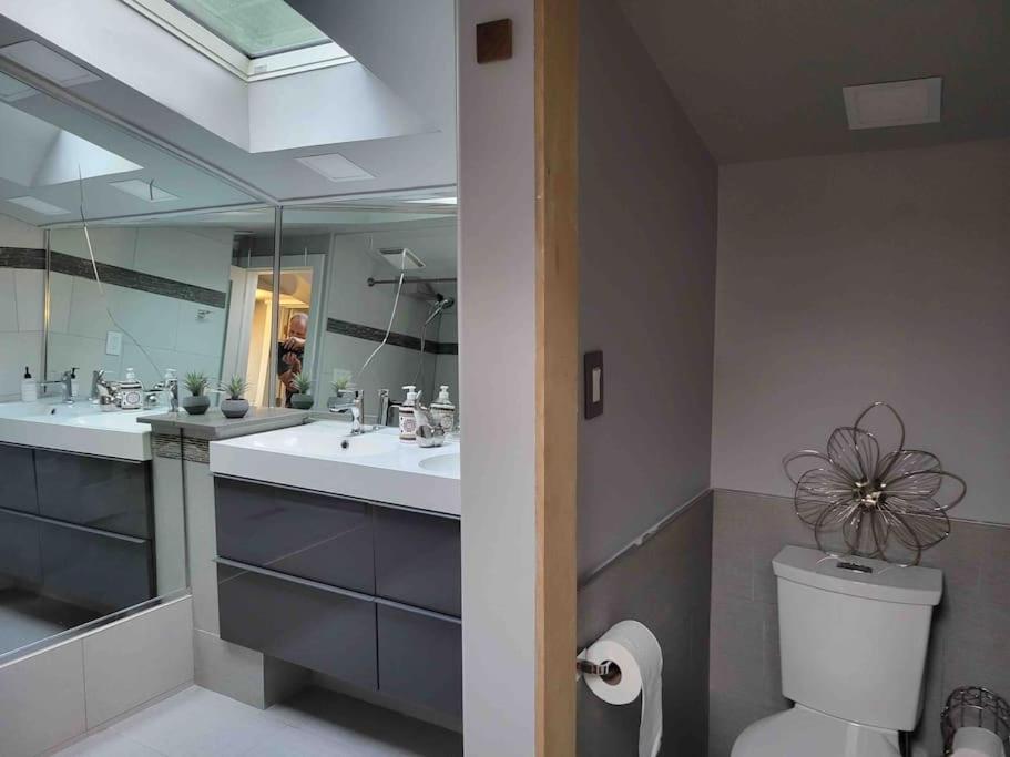 Anthropocene Jewel Cottage