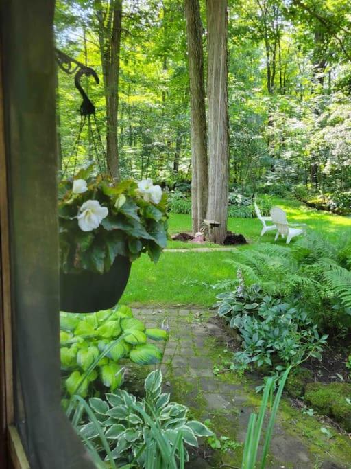 Anthropocene Jewel Cottage