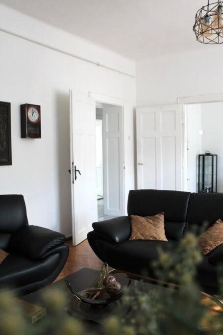 Monarch Apartment