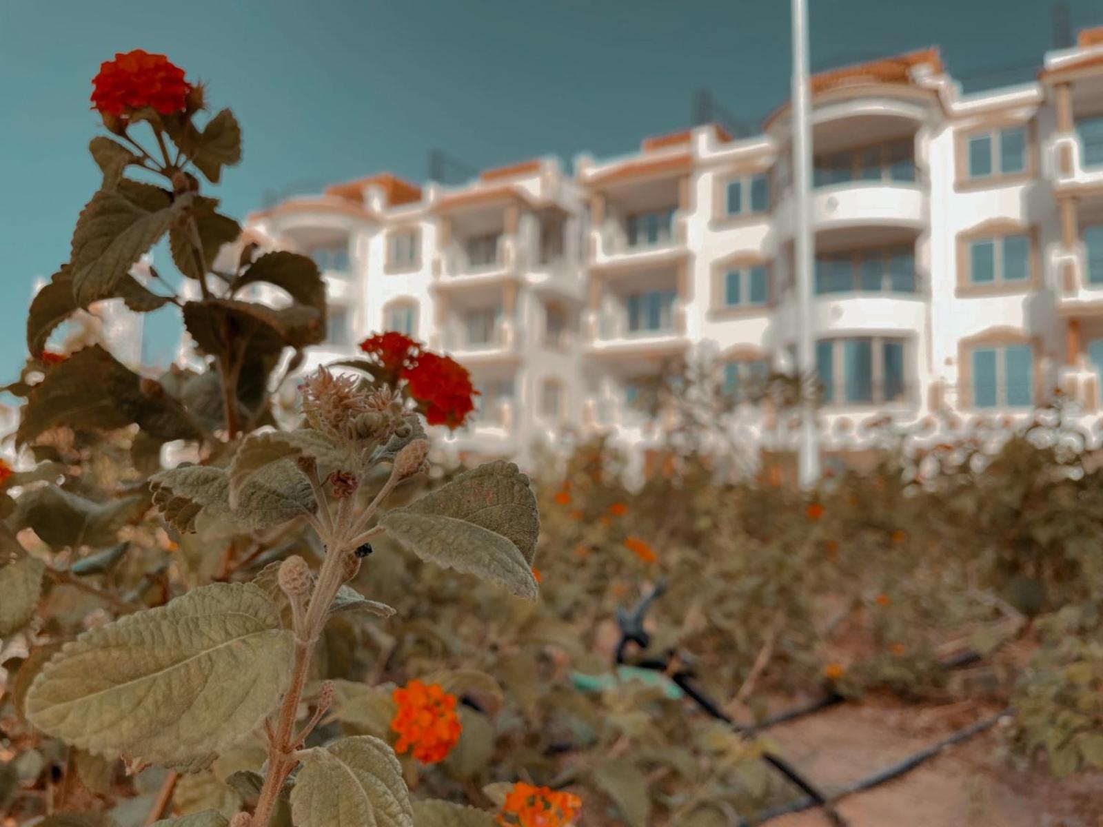 B&B SHARM view 3