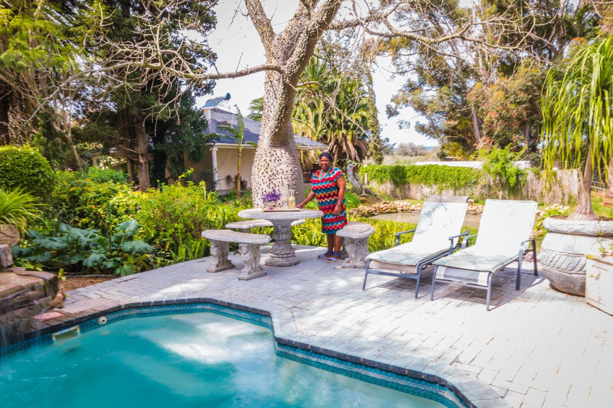 Homestead Bed and Breakfast - Travel Addo Group