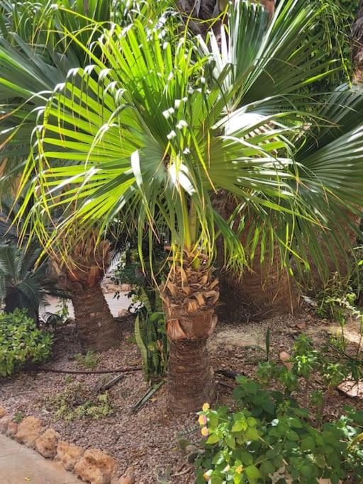 Casa de Flores
