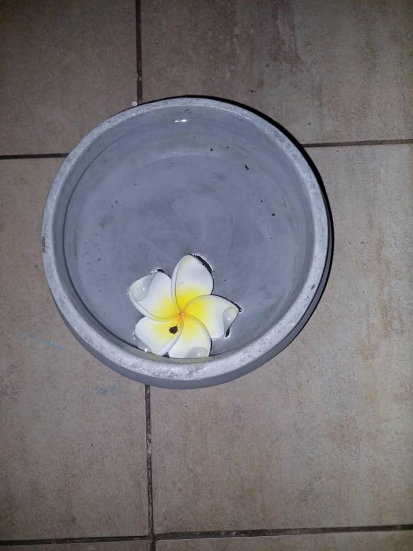 Photo 52