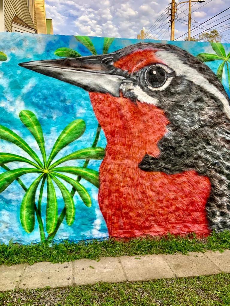 Casas Isla Negra