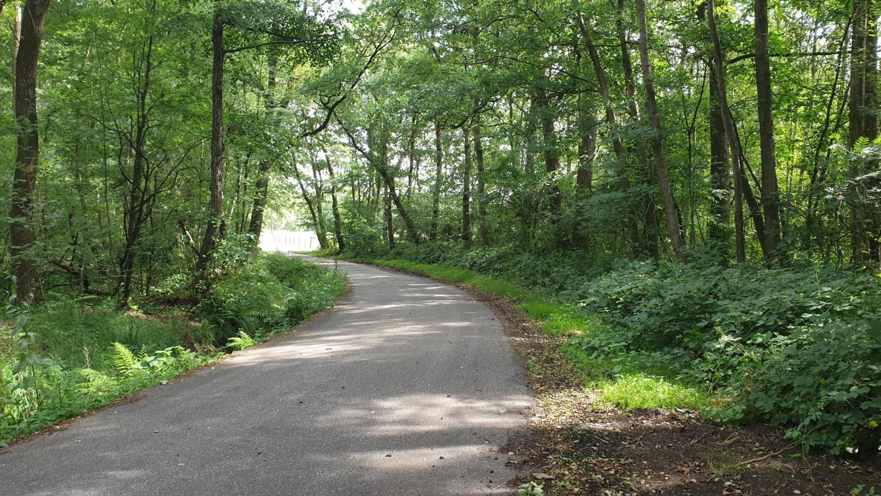Brelaarheide