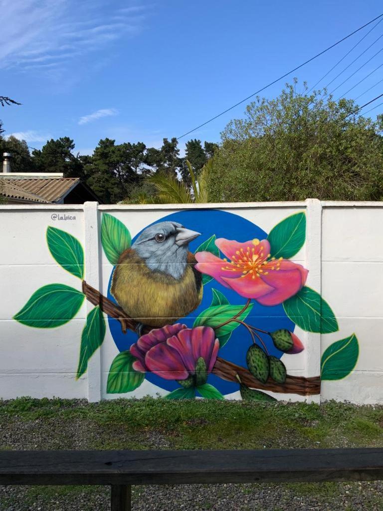 Casas Isla Negra