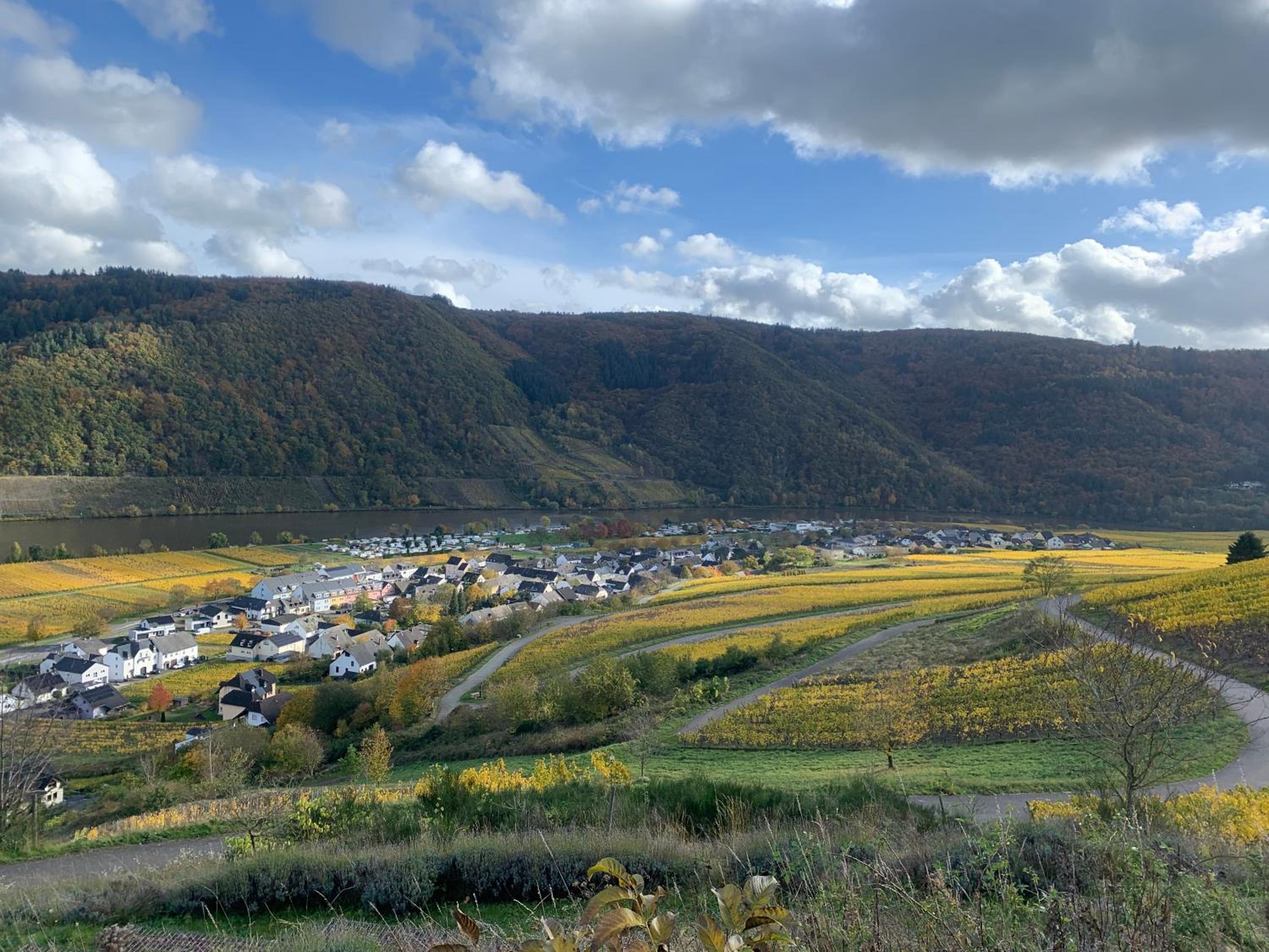 Moselglück