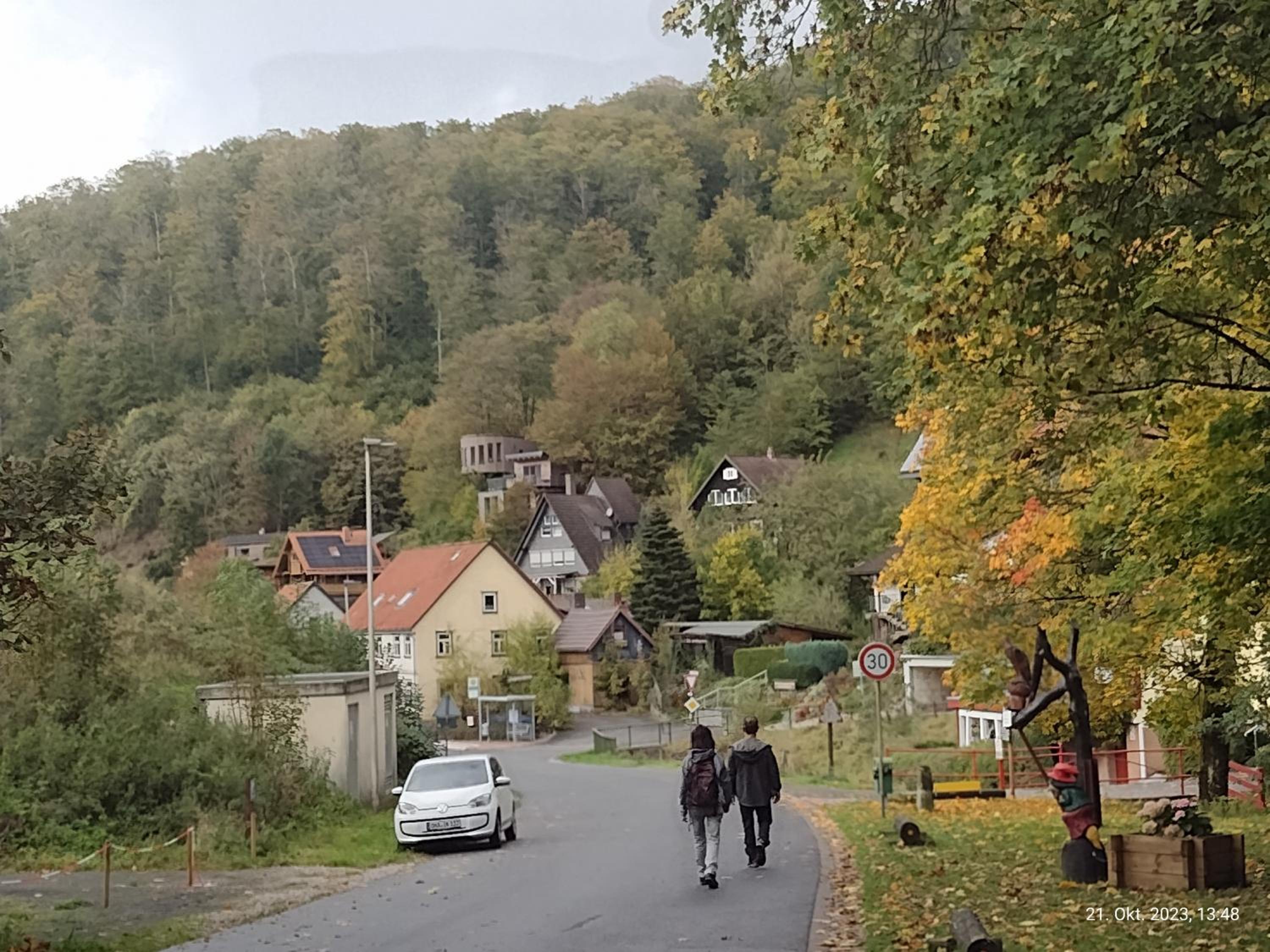 Olifant in Osterode