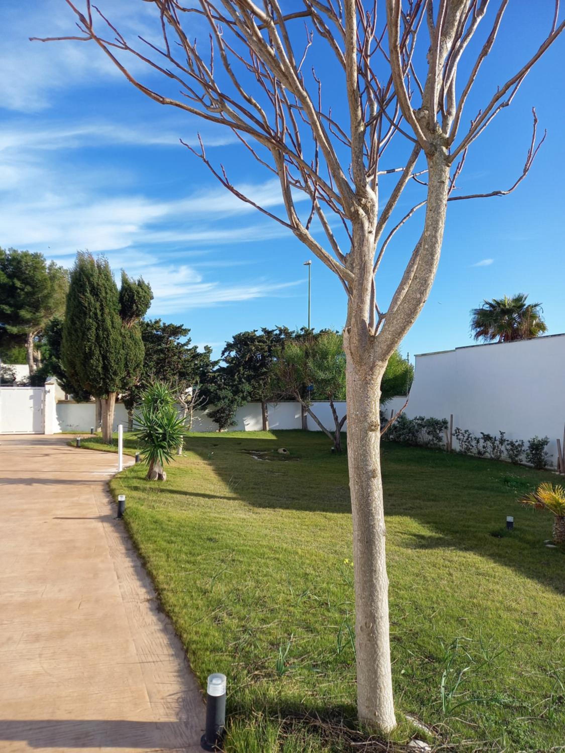 Villa Espada Apartments Deluxe