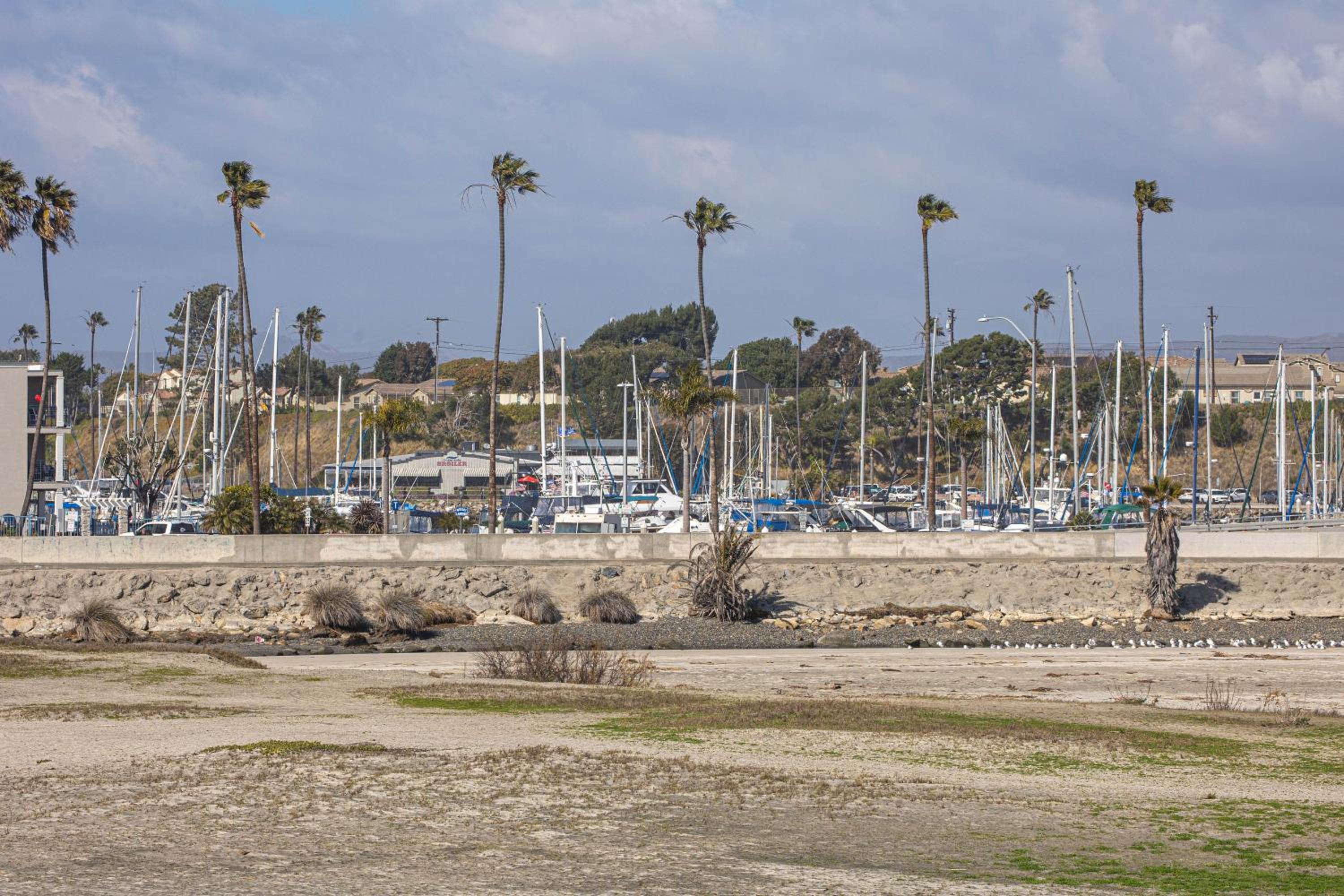 Oceanside Beach Condos - Property Image 1