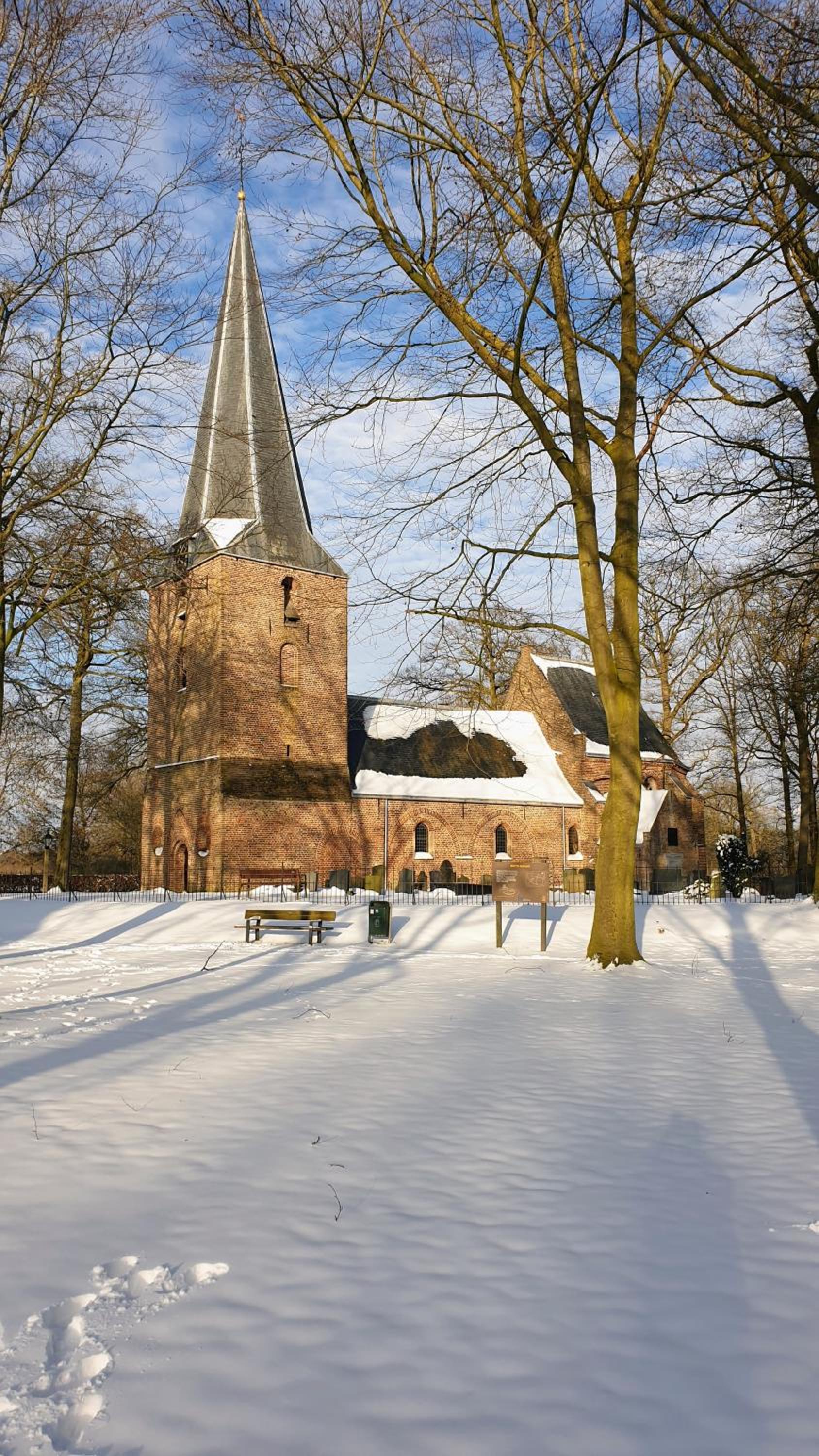 Photo 49