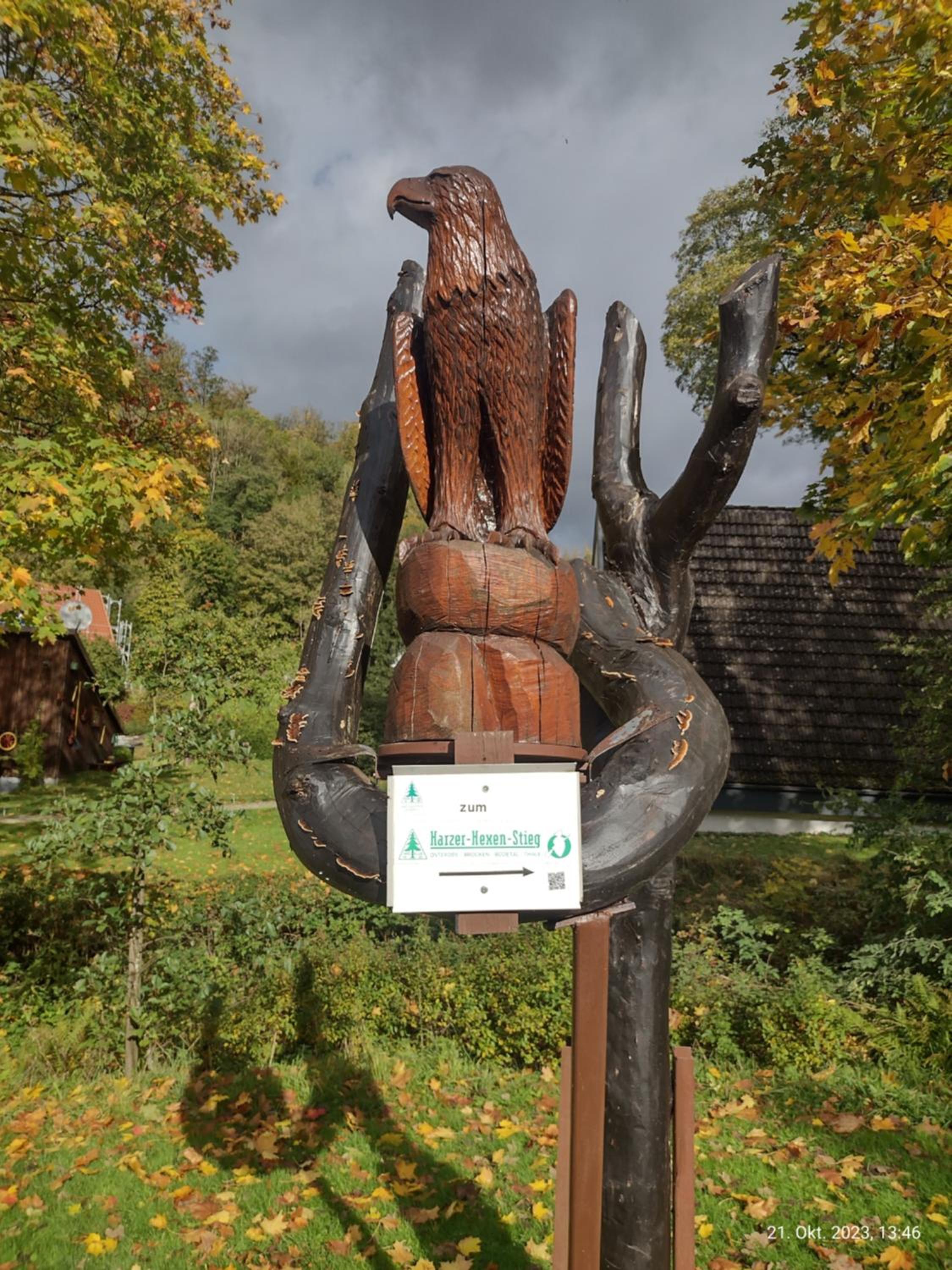 Olifant in Osterode