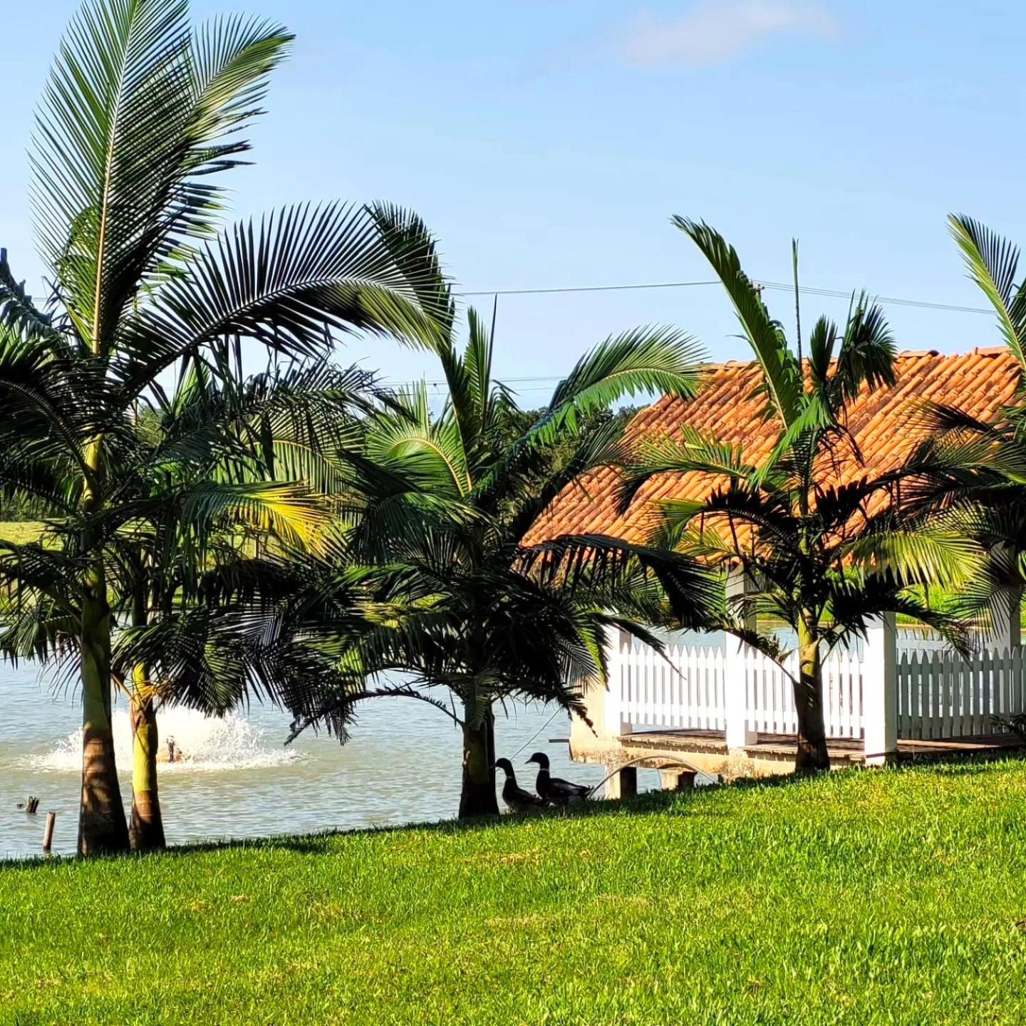 Fazenda Lago do Cisne