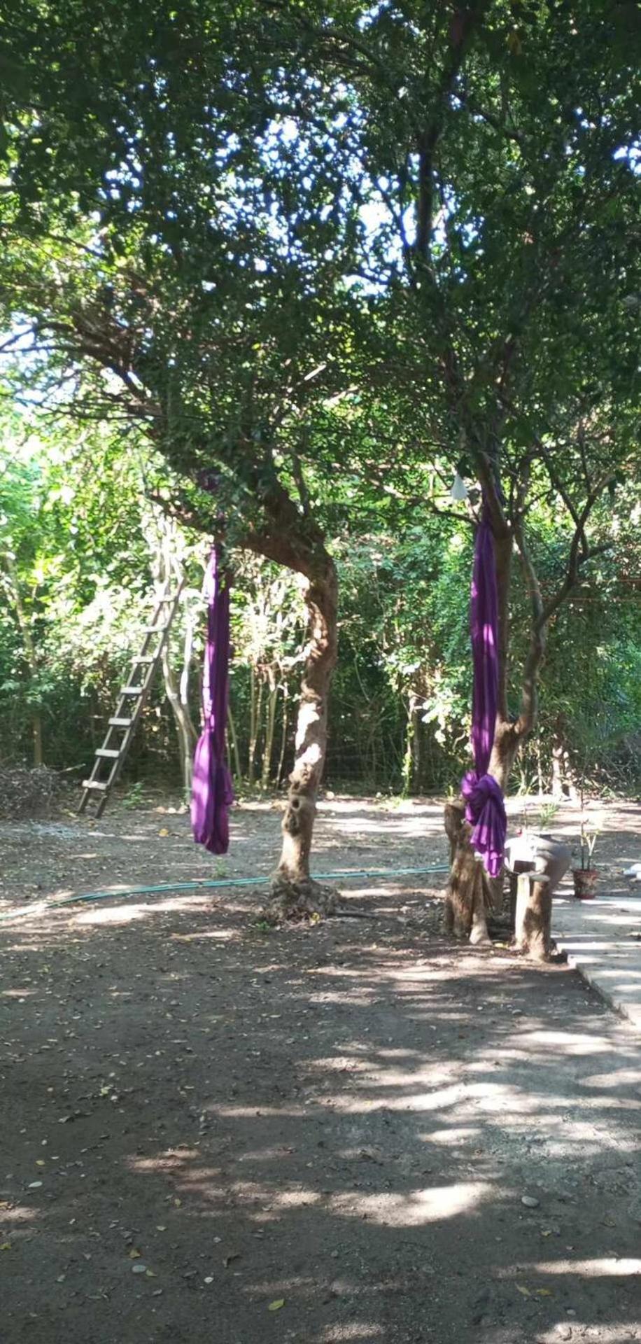 JUNGLE AERIAL ARTS NAMASTE LA UNION Chi fan kubo 2pax, photo 83